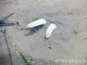 照片 192