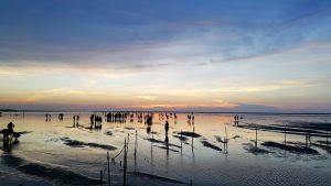高美濕地夕陽-2