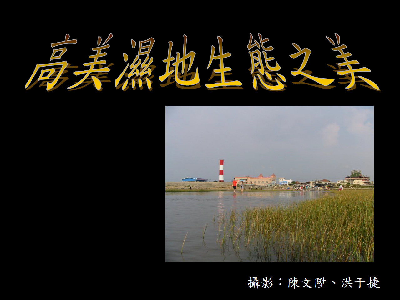 高美濕地生態之美2006年