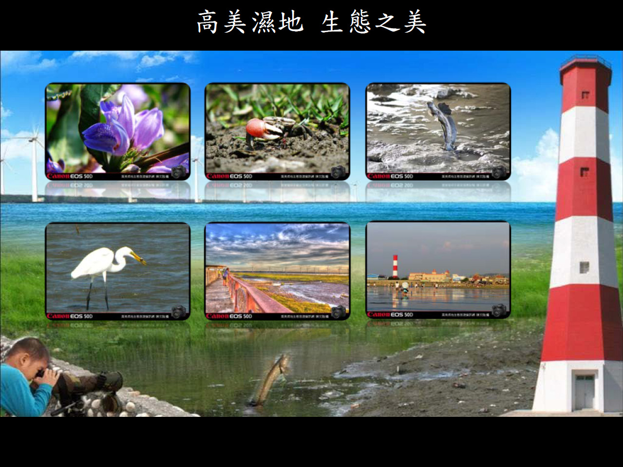 高美濕地生態之美2011年